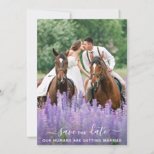 Modern Equine Personalized Pet Photo Horse Wedding Save The Date