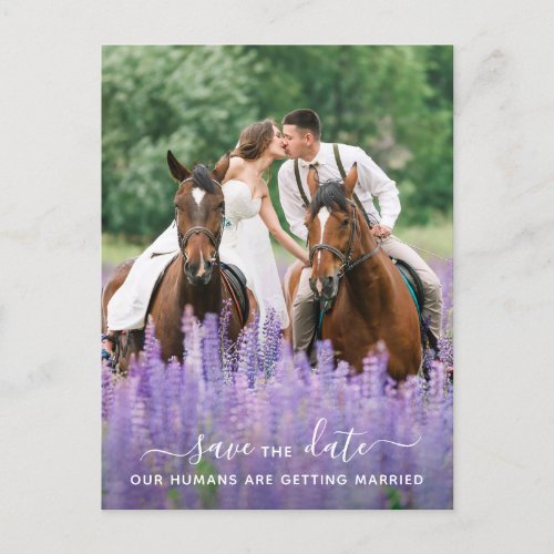 Modern Equine Photo Horse Wedding Save The Date Announcement Postcard