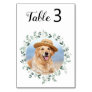 Modern Eucalyptus Custom Dog Photo Pet Wedding Tab Table Number