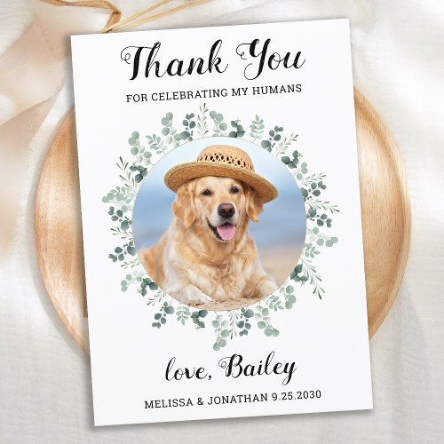 Modern Eucalyptus Greenery Pet Dog Photo Wedding Thank You Card