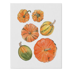 Modern Fall pumpkin & gourd Faux Canvas Print