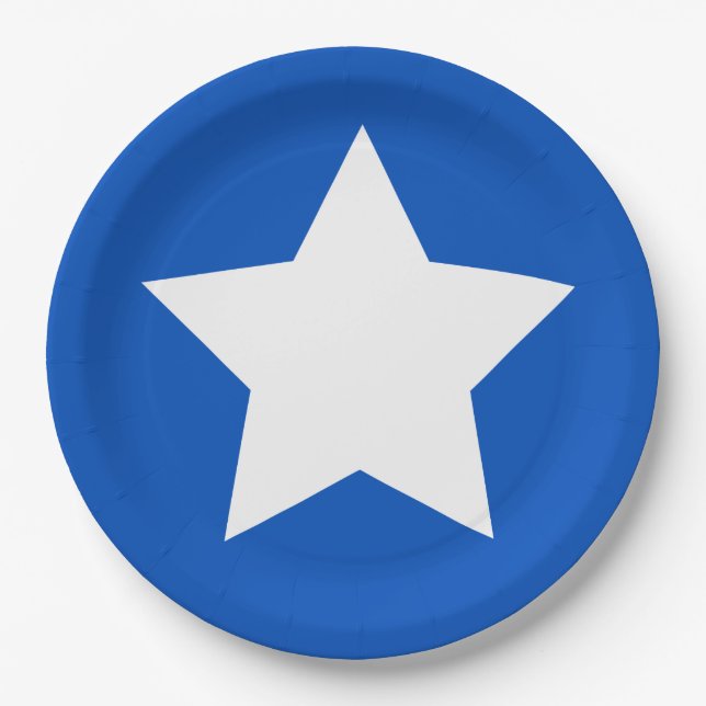 Modern Feminist Symbol Suffrage Paper Plates (Front)