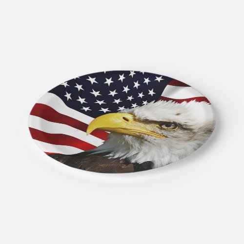 Modern Flag of America BBQ Party Paper Plates
