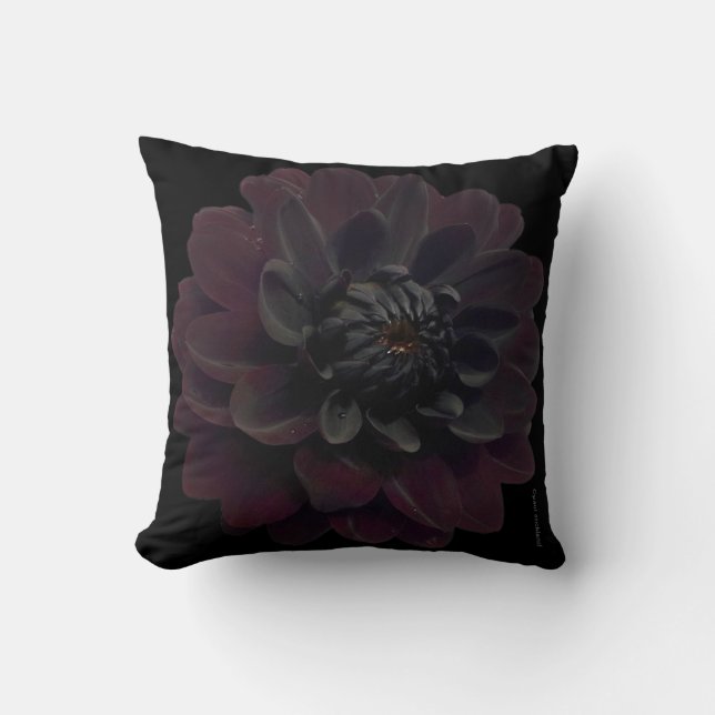 Modern Floral Black Dahlia Flower Throw Pillow (Front)