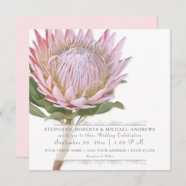 Modern Floral Elegant Simple Pink Protea Flower Invitation (Front/Back)