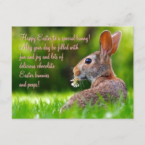 Modern Floral Happy Easter Bunny Holiday Postcard