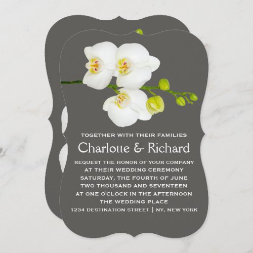 Modern Floral Wedding  White Orchid Flowers Invitation