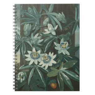Modern Flower Painting Notebook