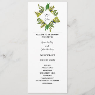 Modern Foliage Program
