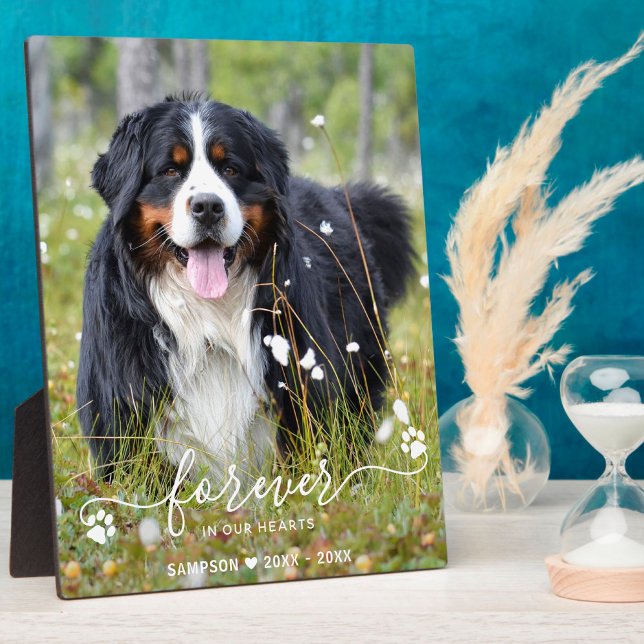 Modern Forever In Our Hearts Pet Memorial Photo Plaque (Creator Uploaded)