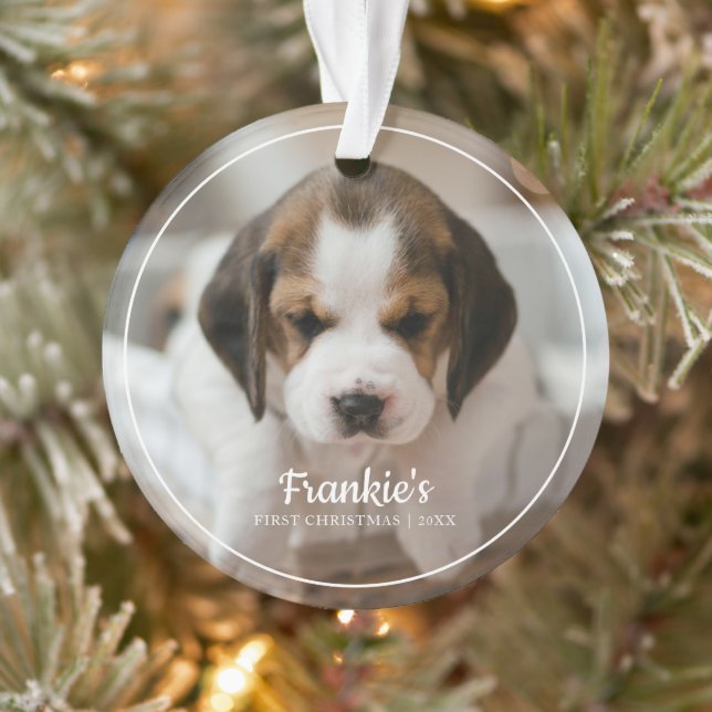 Modern Frame Pet's First Christmas Photo Ornament (Tree)