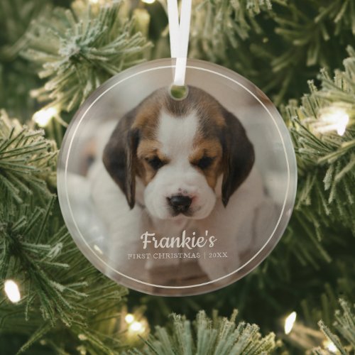 Modern Frame Pets First Christmas Photo Ornament