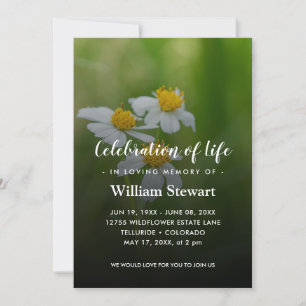 Modern Funeral   Daisies Celebration of Life Invitation