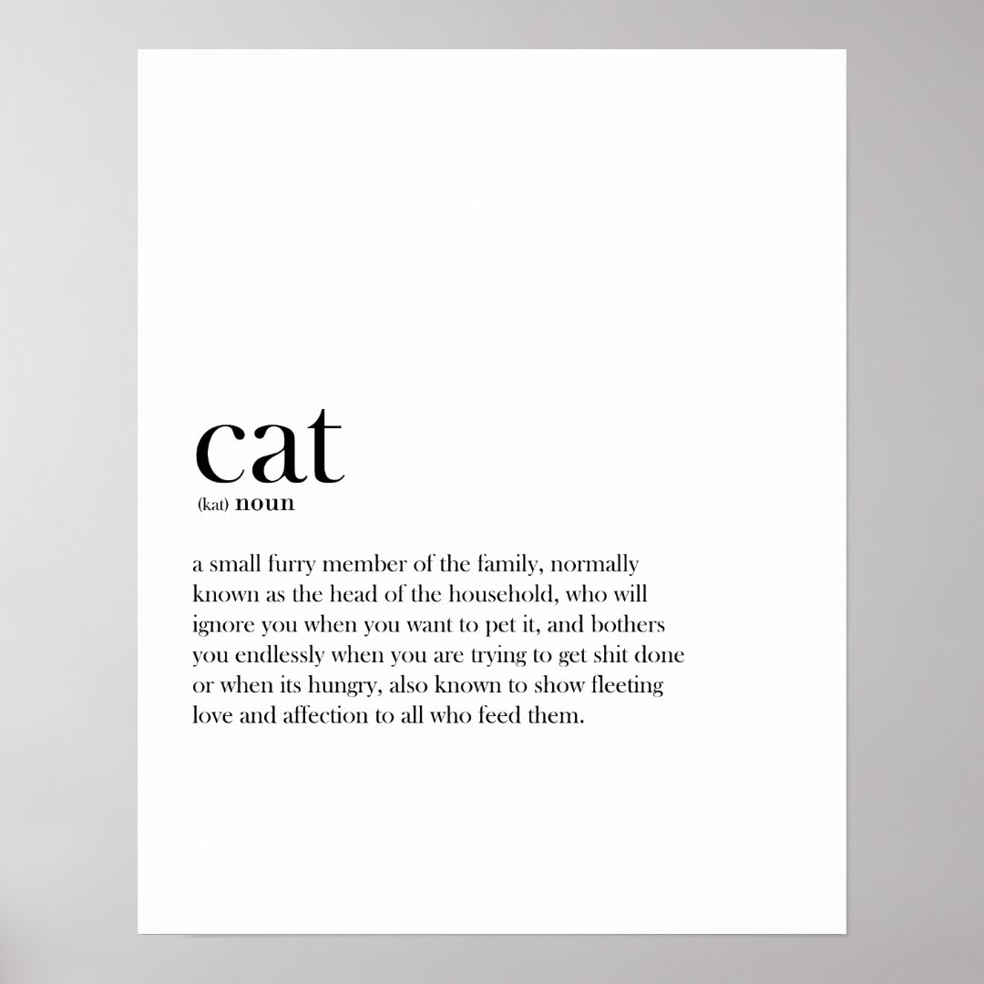 Modern funny Cat definition typography Poster Zazzle