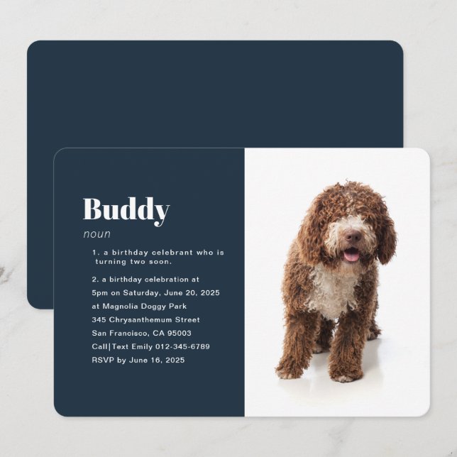 Modern Funny Pet Photo Birthday Invitation (Front/Back)