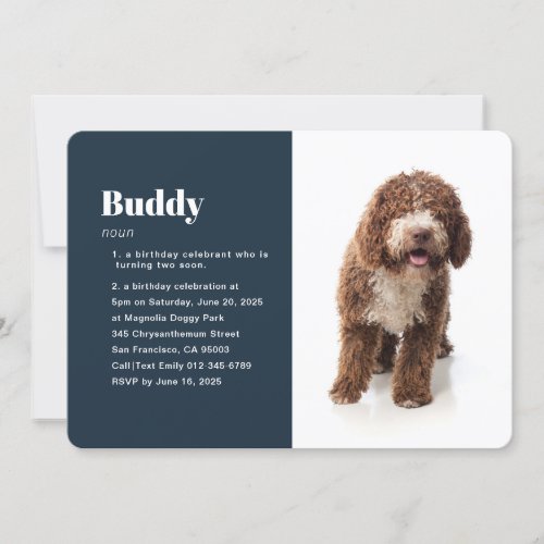 Modern Funny Pet Photo Birthday Invitation