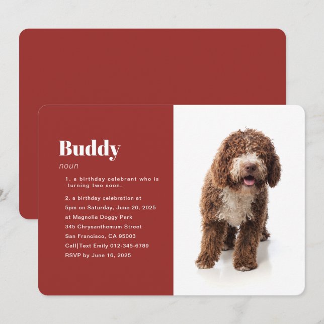 Modern Funny Pet Photo Birthday Invitation (Front/Back)