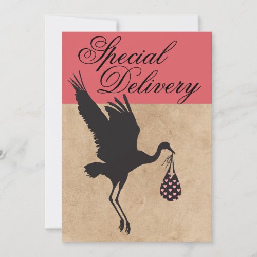   Modern  Funny Stork Baby Girl Shower Invitation