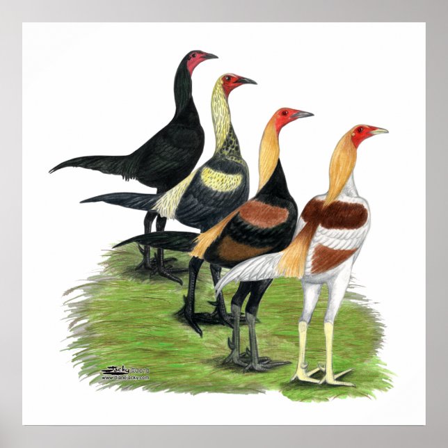 Modern Game Quartet Poster (Front)