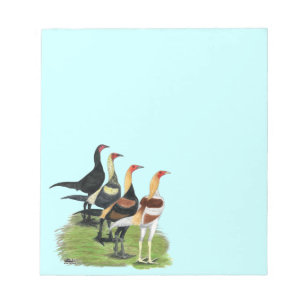 Modern Game Roosters Notepad