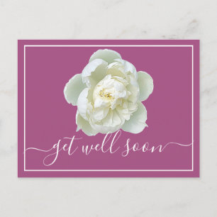 Modern Get Well Soon White Peony Botanical Floral Postcard