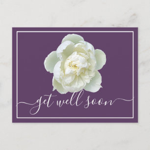 Modern Get Well Soon White Peony Botanical Floral Postcard