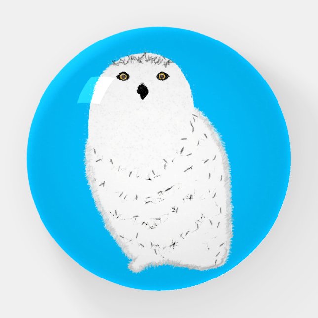Modern glam snow owl paperweight (Front)