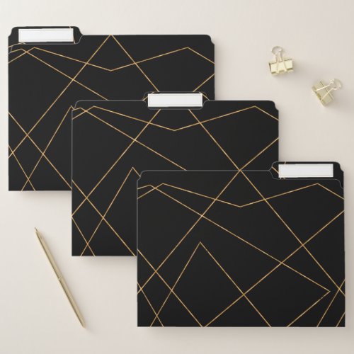 Modern Gold  Black Geometric Strokes Design File Folder
