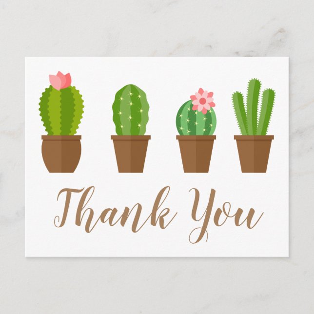 Modern Green and Pink Cacti Illustration Thank You Postcard (Front)