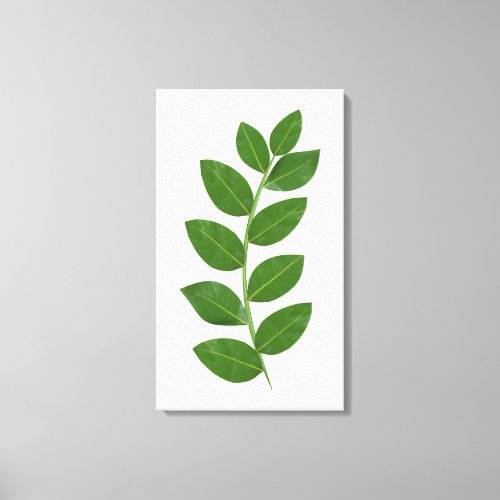 Modern Green Bay Leaves Canvas Print