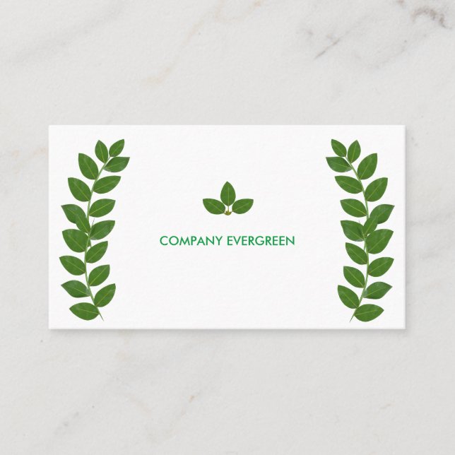 Modern Green Bay Leaves on White Business Card (Front)