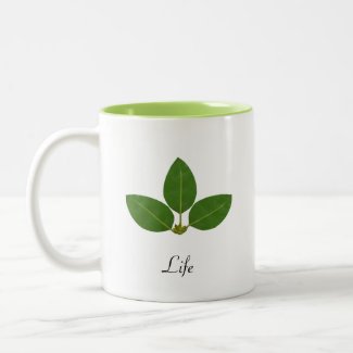 Modern Green Laurel Leaf