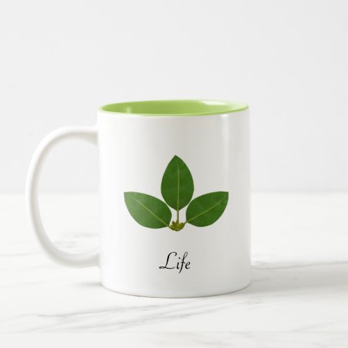 Modern Green Laurel Leaf Two_Tone Coffee Mug