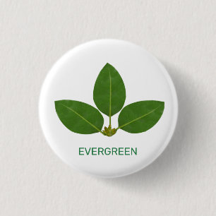 Modern Green Leaves on White Button