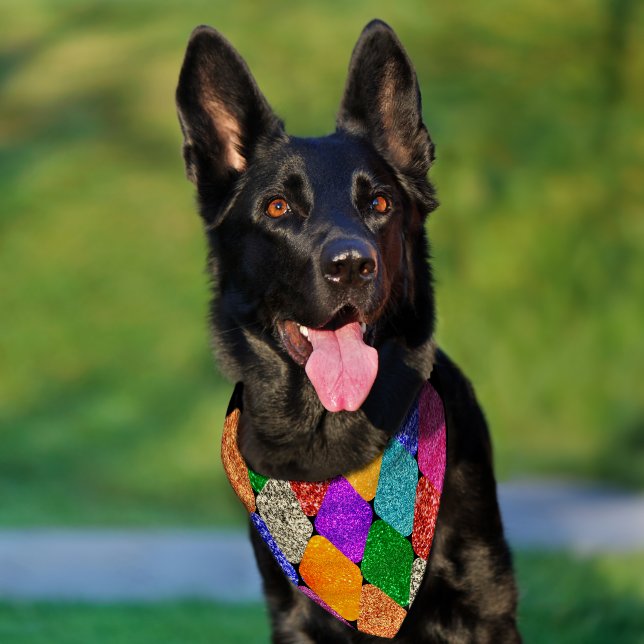 Modern Harlequin Pattern Sparkly Mardi Gras Pet Bandana Collar (Dog)