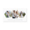 Modern Honeycomb Photo Collage Photographer