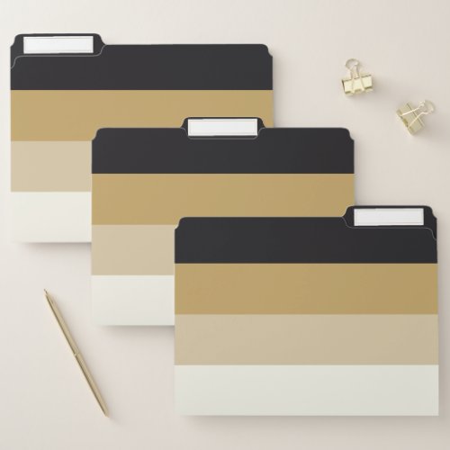 Modern Horizontal Stripe Black  Gold Color Tones File Folder