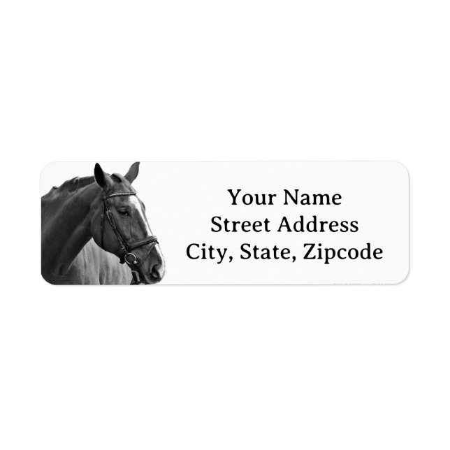 Modern Horse Black and White Equestrian Label (Front)