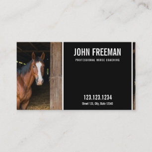 Modern Horse Photo Equine Coaching Business Card