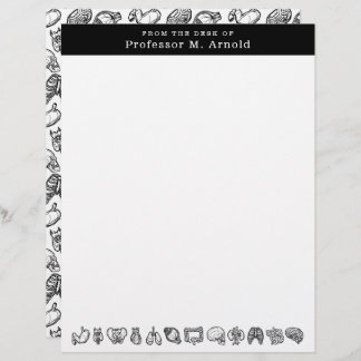 Modern Human Anatomy Science Sketch Personalized Letterhead