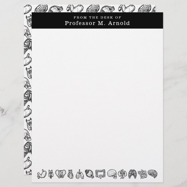 Modern Human Anatomy Science Sketch Personalized Letterhead (Front/Back)