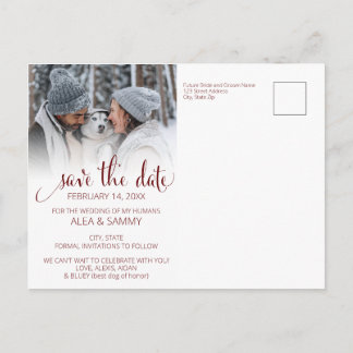 Modern Humans Getting Married Pet Photo Engagement Postcard