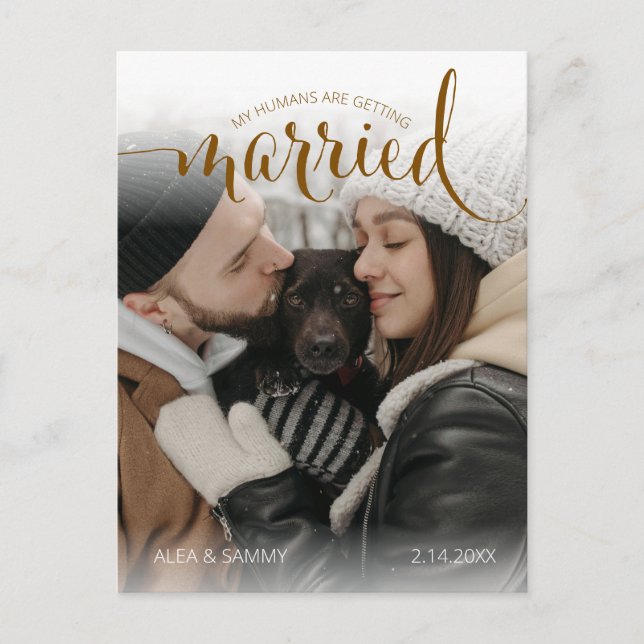 Modern Humans Getting Married Pet Photo Engagement Postcard (Front)