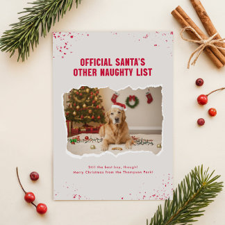 Modern Humor Funny Dog Photo Christmas Holiday Card