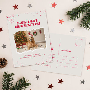 Modern Humor Funny Photo Dog Christmas Postcard