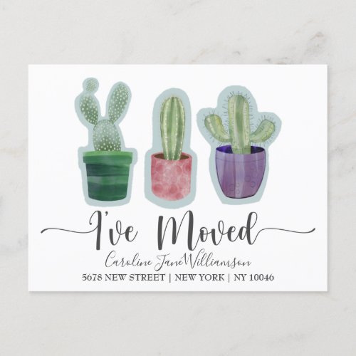 Modern Ive Moved Cactus Announcement