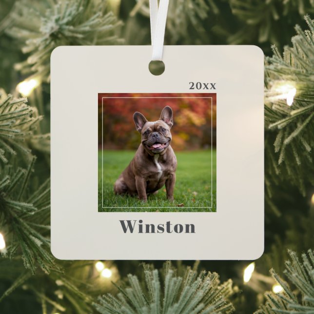 Modern Ivory Custom Pet Name Photo Metal Ornament (Insitu)