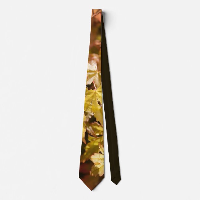 Modern Japanese Maple Tie (Front)