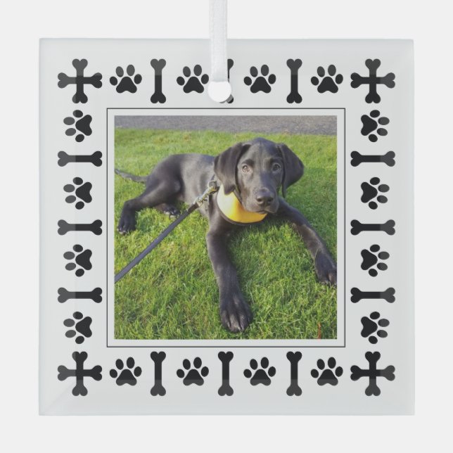 Modern Labrador Retriever Dogs & Love Paws  Glass Ornament (Front)