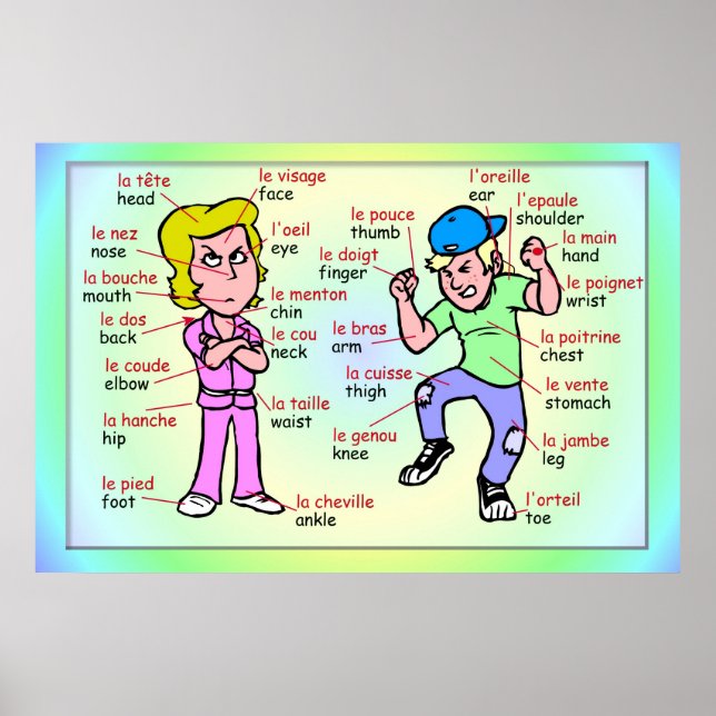 Modern languages, French,  Parts of the body Poster (Front)